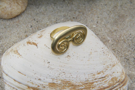 Snail Set - earrings and ring